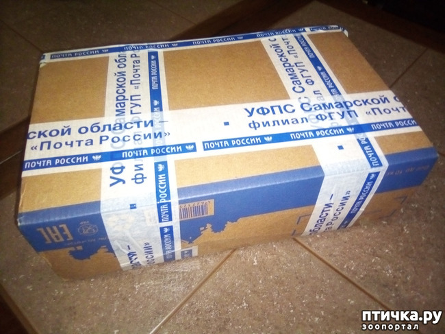 ���� 3: ��� ���������� �����������