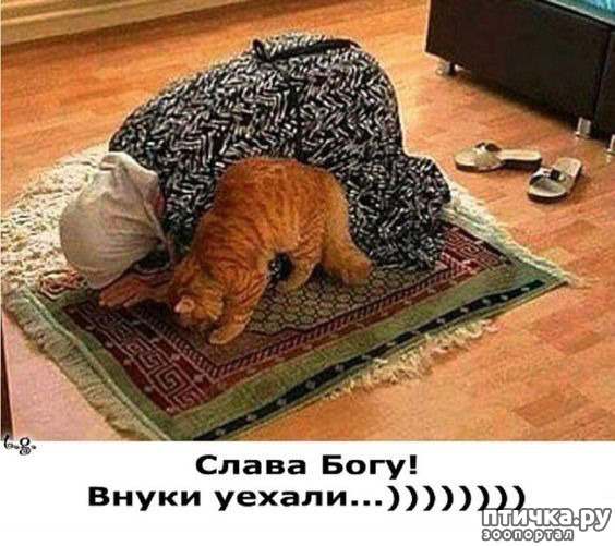 ���� 5: ��������� ���������� (���� � ������� �� ���������):