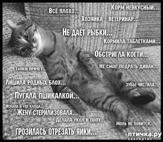 ���� 7: ��������� ���������� (���� � ������� �� ���������):