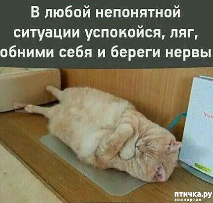 ���� 8: ��������� ���������� (���� � ������� �� ���������):