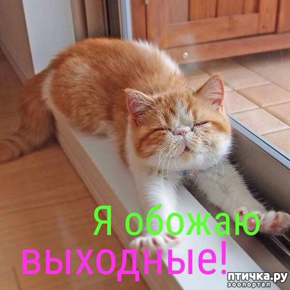 ���� 9: ��������� ���������� (���� � ������� �� ���������):