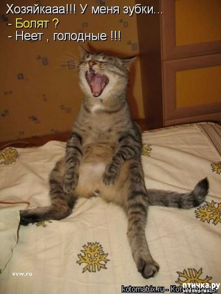 ���� 11: ��������� ���������� (���� � ������� �� ���������):