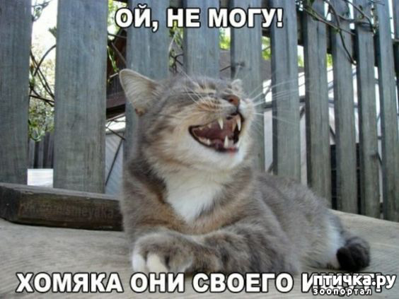 ���� 12: ��������� ���������� (���� � ������� �� ���������):