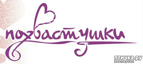 ���� 2: ��� ���������� �����������