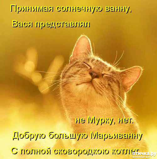 ���� 13: ��������� ���������� (���� � ������� �� ���������):