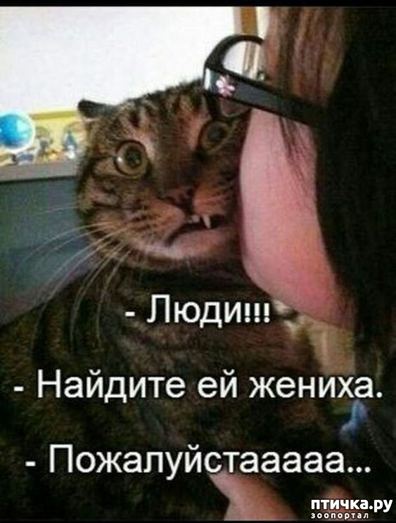 ���� 14: ��������� ���������� (���� � ������� �� ���������):