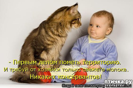 ���� 15: ��������� ���������� (���� � ������� �� ���������):