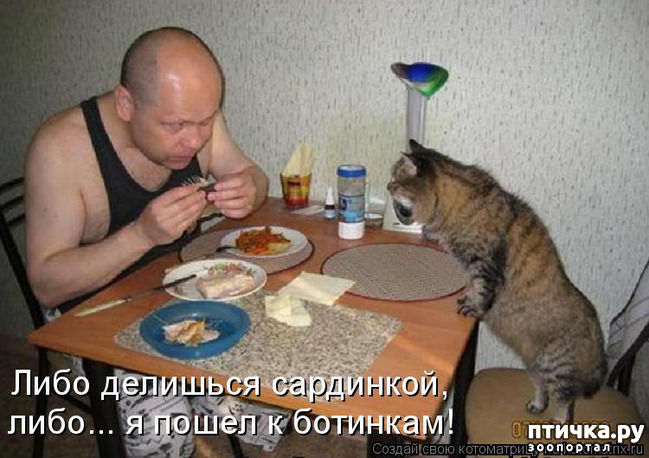 ���� 16: ��������� ���������� (���� � ������� �� ���������):