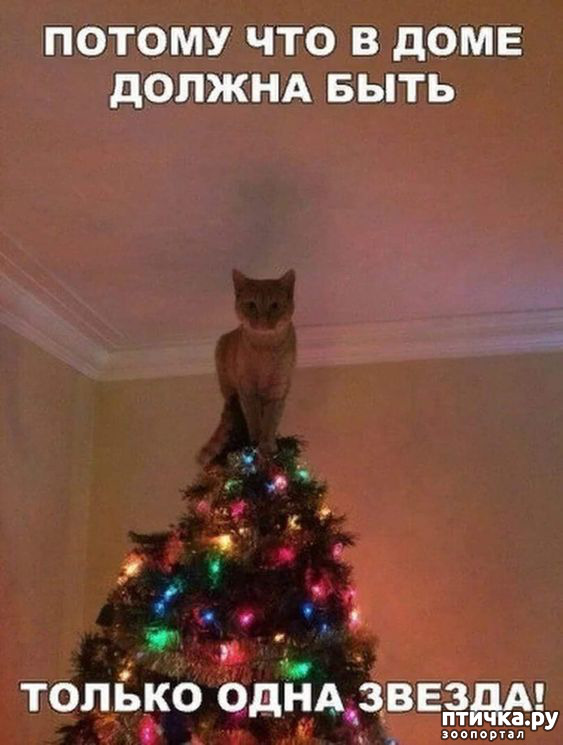 ���� 17: ��������� ���������� (���� � ������� �� ���������):