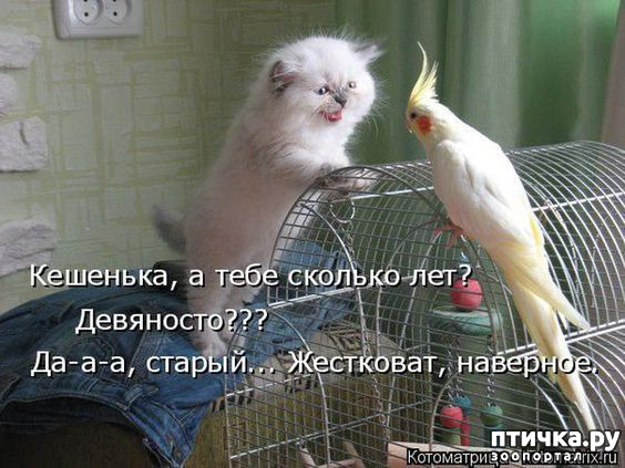 ���� 19: ��������� ���������� (���� � ������� �� ���������):