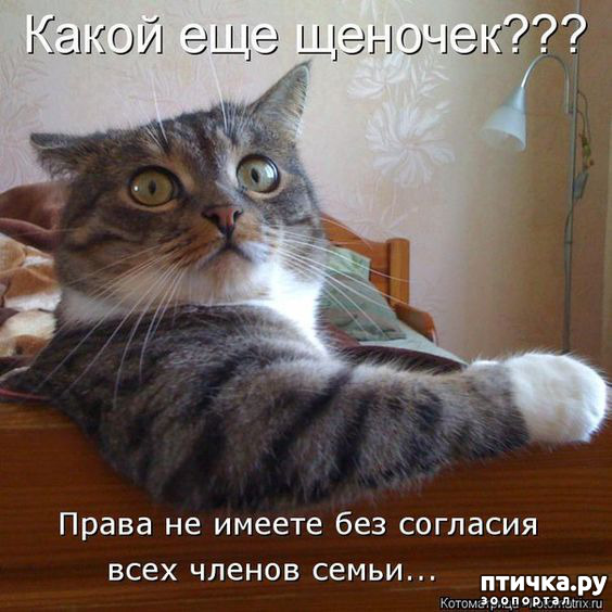 ���� 20: ��������� ���������� (���� � ������� �� ���������):