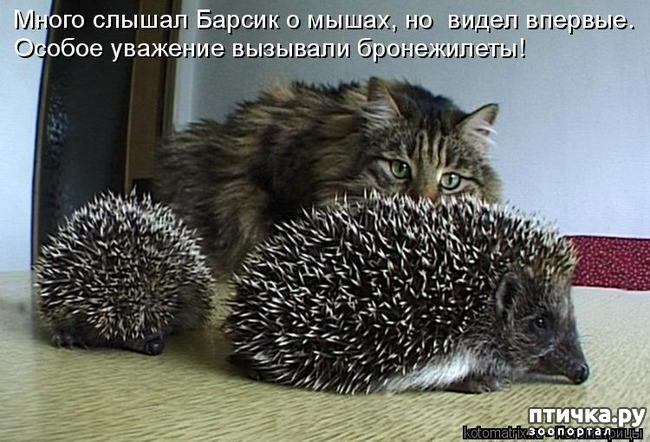 ���� 21: ��������� ���������� (���� � ������� �� ���������):