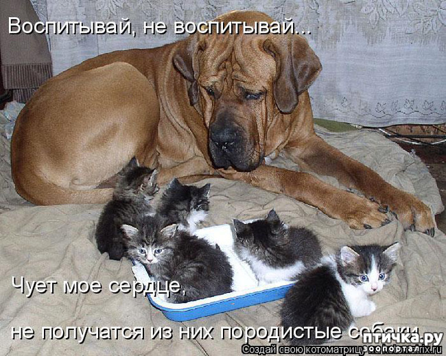 ���� 22: ��������� ���������� (���� � ������� �� ���������):