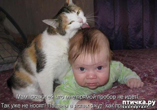 ���� 23: ��������� ���������� (���� � ������� �� ���������):