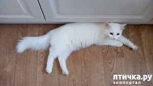 ����: ����� �����