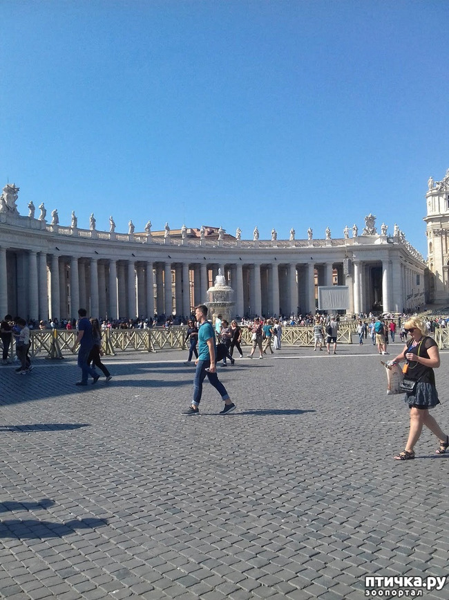 ���� 3: �������