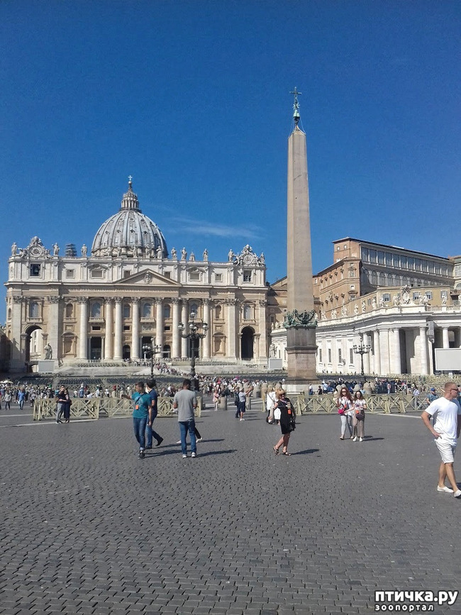 ���� 2: �������