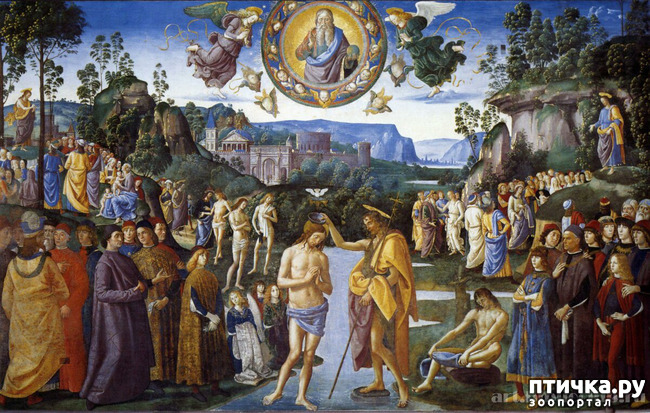 ���� 26: �������