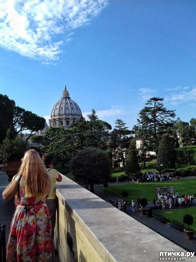 ���� 4: �������