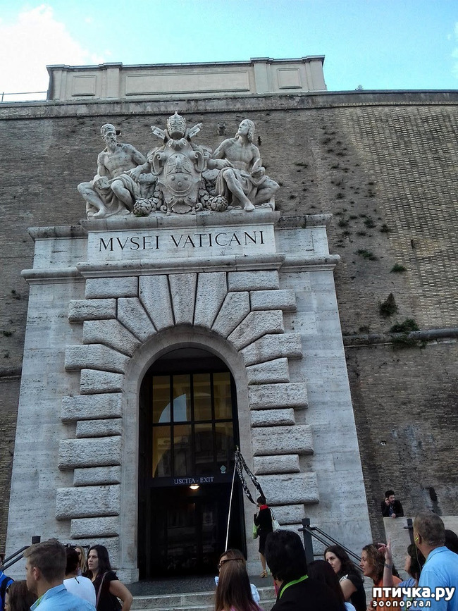 ���� 5: �������