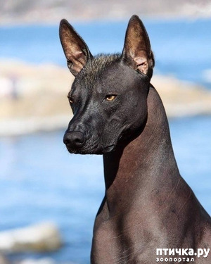 ����: ������ �����.