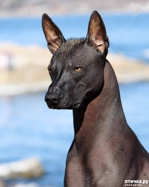 ���� 1: ������ �����.