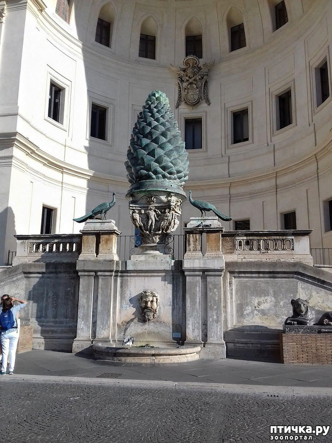 ���� 28: �������