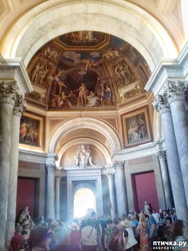 ���� 6: �������