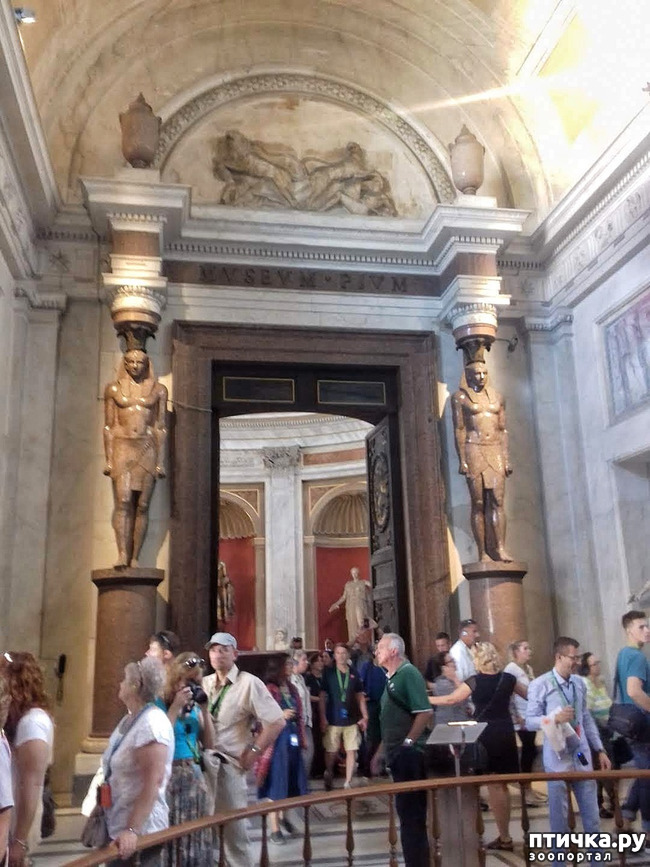 ���� 7: �������