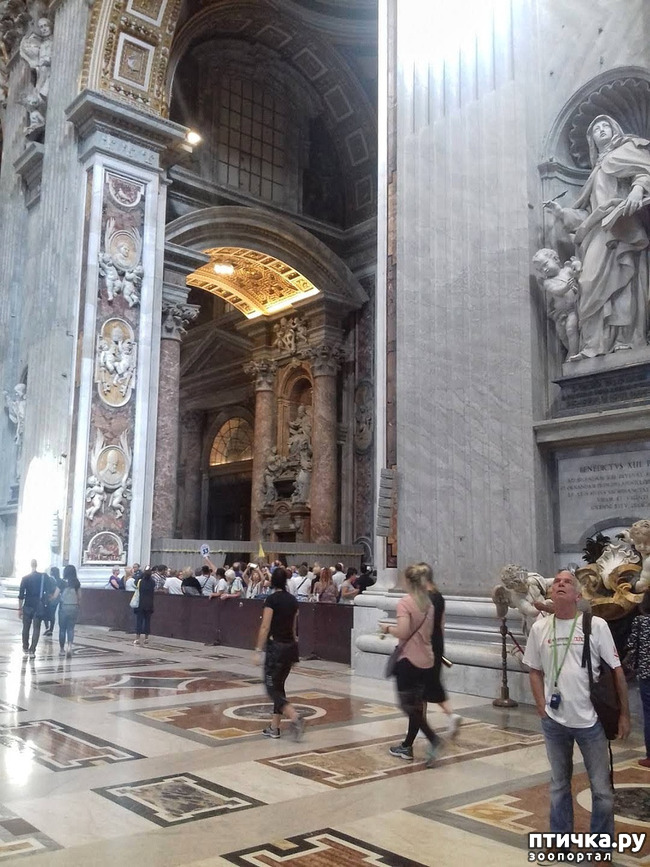 ���� 8: �������