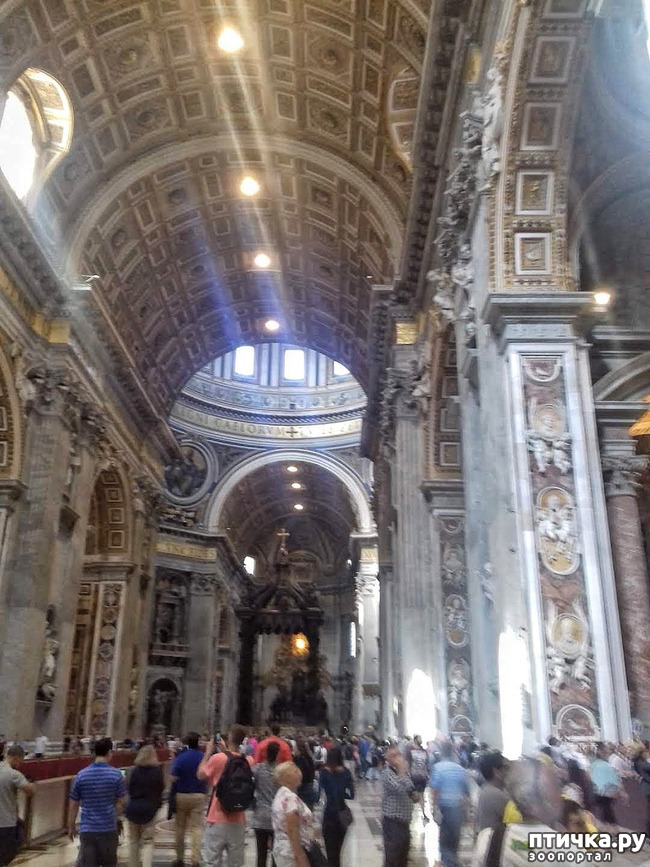 ���� 9: �������