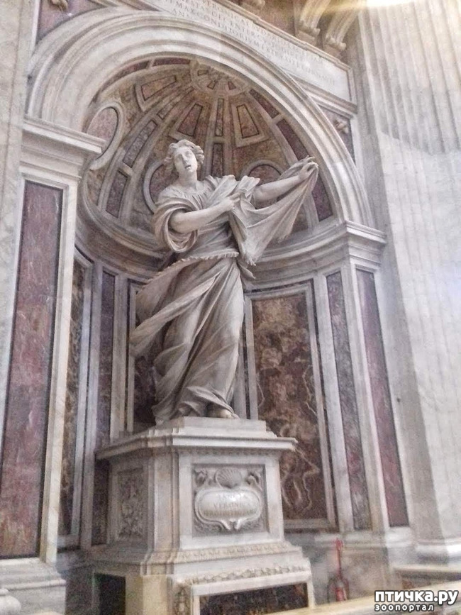 ���� 11: �������