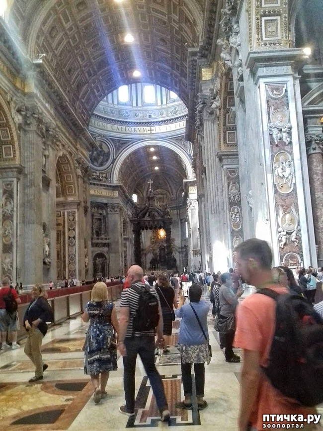 ���� 10: �������