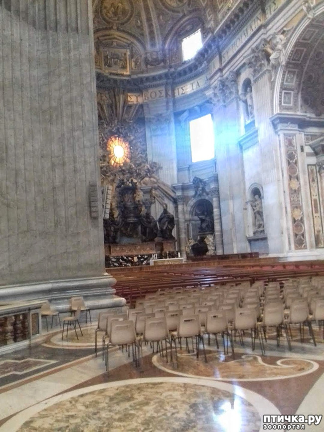 ���� 12: �������