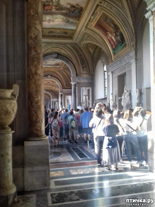 ���� 13: �������