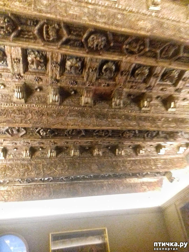 ���� 15: �������