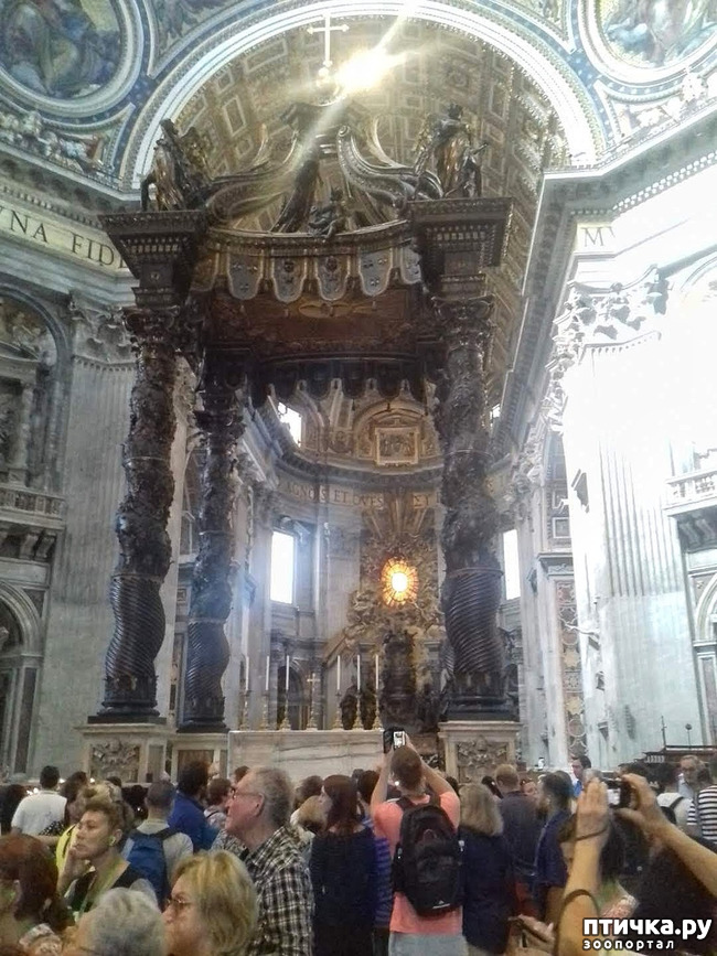 ���� 17: �������