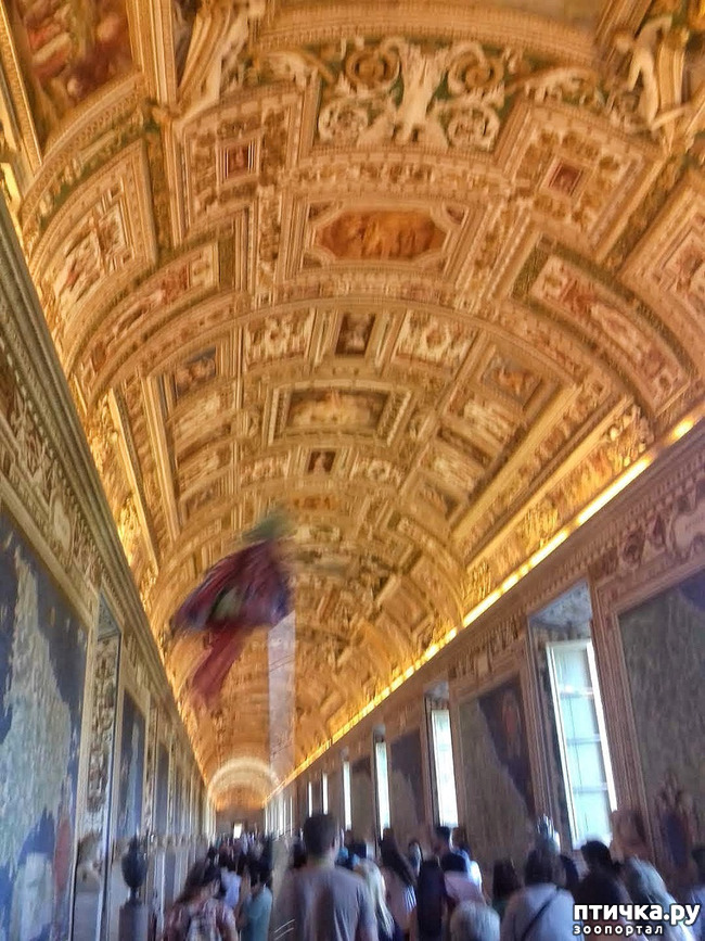 ���� 19: �������