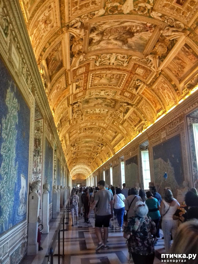 ���� 18: �������