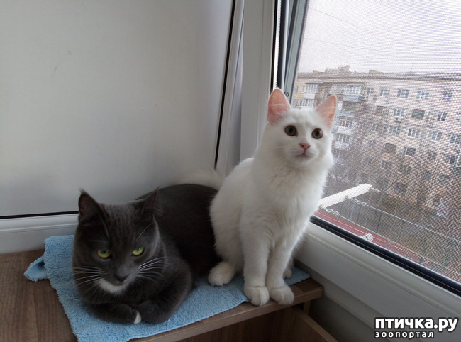 ���� 1: ��������� �����������