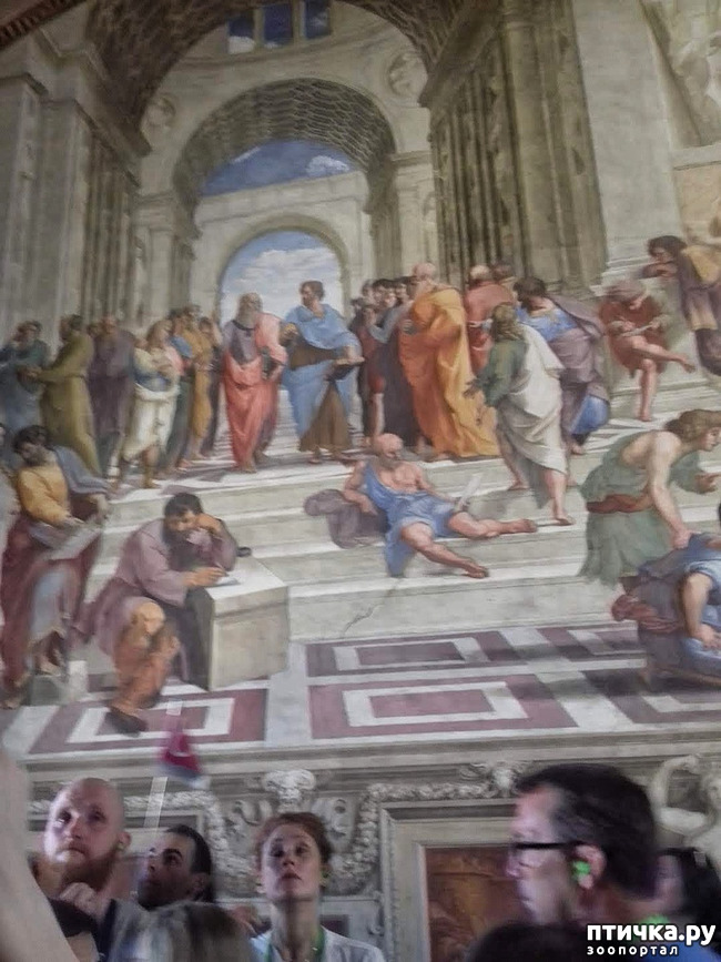 ���� 20: �������