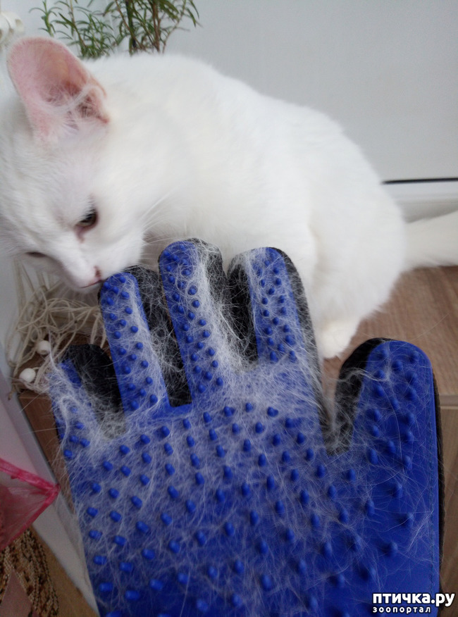 ���� 2: ��������� �����������