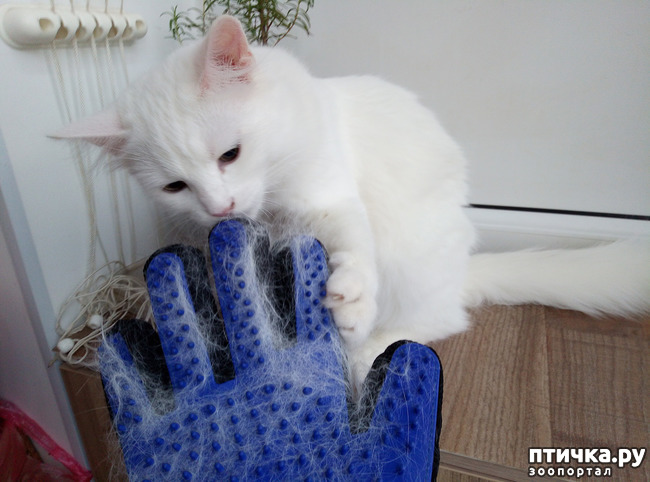 ���� 3: ��������� �����������