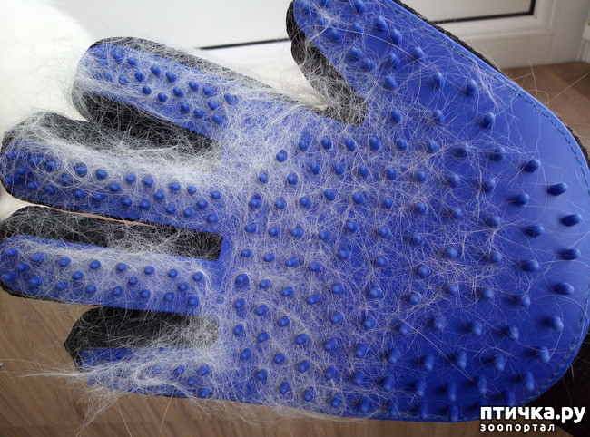 ���� 4: ��������� �����������