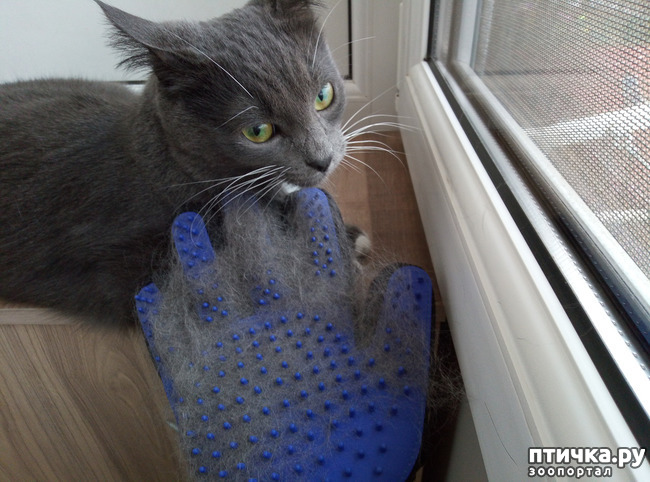 ���� 5: ��������� �����������