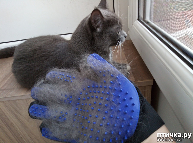 ���� 6: ��������� �����������