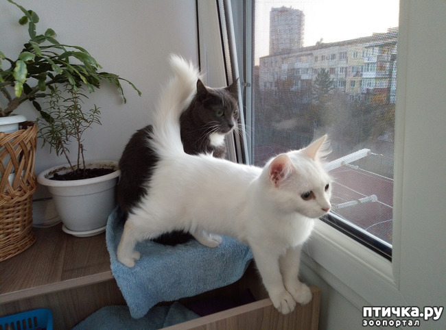 ���� 7: ��������� �����������