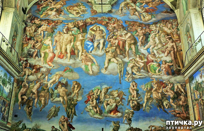 ���� 24: �������