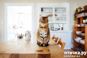 ����: ��� � ����� ��� ��� ��������-��� �������� ���������)