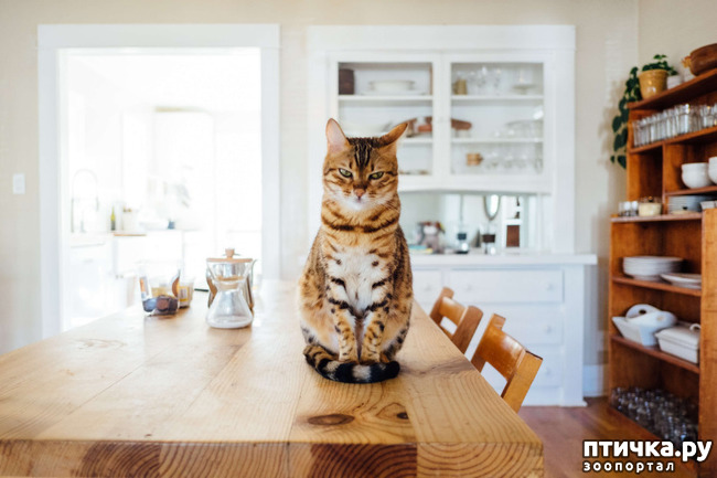 ���� 1: ��� � ����� ��� ��� ��������-��� �������� ���������)